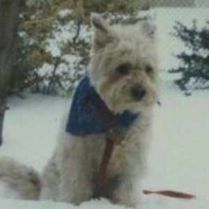 Meet your Posher, Annette